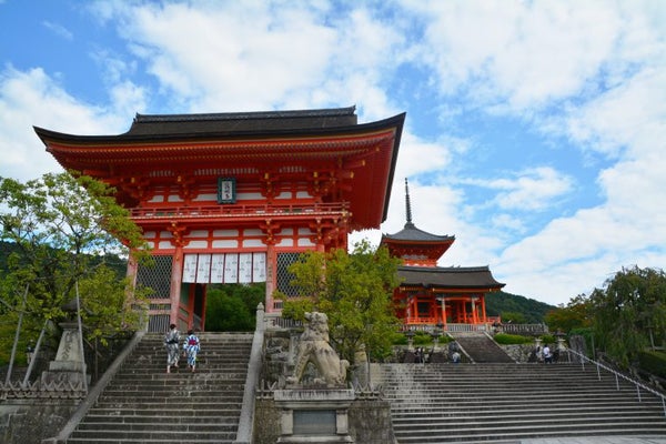 ~名門大洋フェリーで行く~京都御苑と京都さくらめぐり🚢🚢フェリーで宿泊🚌宿泊バスツアー2